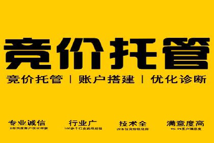 百度SEO推广技巧案例分析